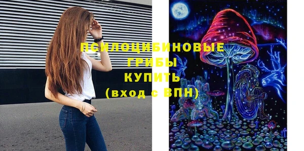 спиды Аркадак