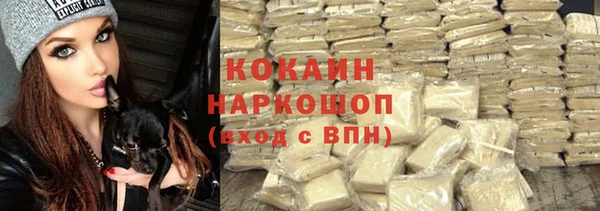 дурь Арсеньев
