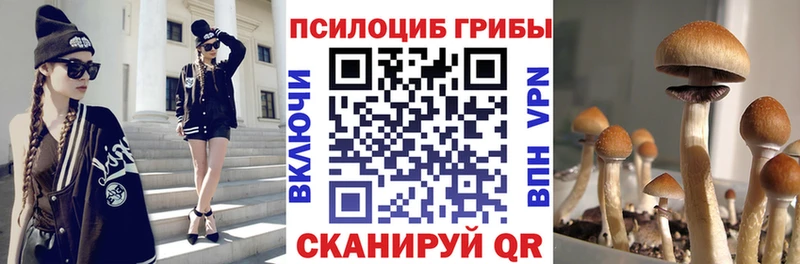 Псилоцибиновые грибы прущие грибы  Серов 